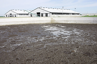 a digester lagoon